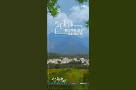 非凡十年 见郑城长①｜只此青绿，嵩山坳开出了“乡村振兴号”图片