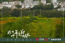 非凡十年 见郑城长①｜只此青绿，嵩山坳开出了“乡村振兴号”图片