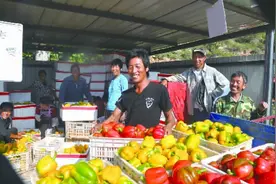 张家口崇礼彩椒鼓起农民“钱袋子”图片