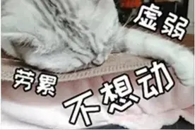 “脑子不转了”是真的！思考也会让你疲劳图片