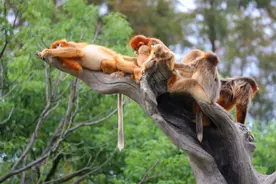 迪士尼午后票216元……上海这些景区门票限时优惠→图片