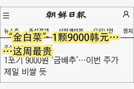 韩国一颗白菜卖到45元，韩媒：中国产泡菜成救兵图片