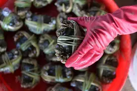 什么时候才能吃上大闸蟹？我们跟蟹农、蟹商聊了聊图片