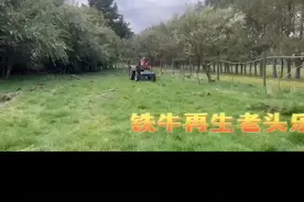 05年产的时风拖拉机在新西兰重获新生！你可以永远相信山东好品图片