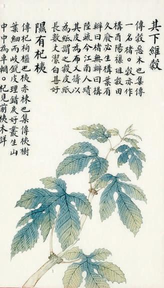 “穀”和“榖”只有“一横之差”，两字该如何区分？