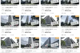 深圳宝能城花园抵押资产已成交20套法拍房，全为毛坯现房住宅图片