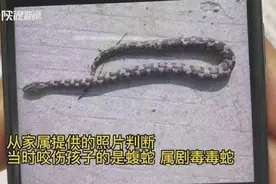 剧毒毒蛇钻进被窝咬伤3岁女童！医院紧急救治图片