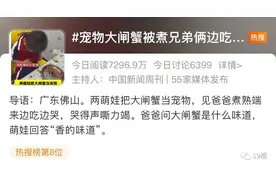 冲上热搜！宠物被煮，兄弟俩崩溃大哭，网友吵翻......图片