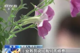 老年人警惕“代拍藏品”骗局 当心馅饼变陷阱图片