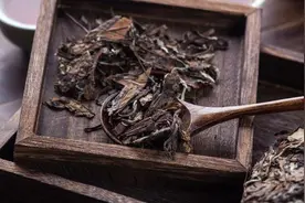 老白茶：一种自然与时间成就的治愈力量图片