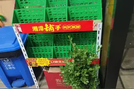 浙江义乌要求商家下架槟榔后：超市将槟榔藏在饮料箱里卖，厂家不接受回收，海南槟协呼吁理性看待图片