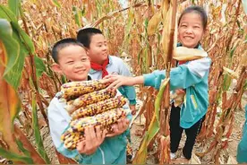 说不尽的金秋美图片