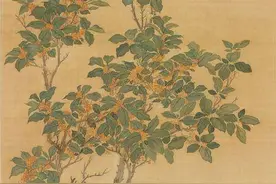 古人的日子 | 秋分：吹来何处桂花香，恰今日、平分秋色图片