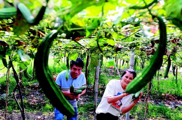 �鴨����ʻ�����