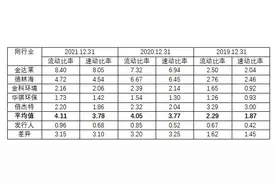 科净源应收绿地控股巨额款项存坏账风险，短期偿债能力低下、收入来源不均衡恐严重影响持续经营能力图片