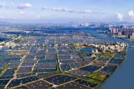 珠海斗门：将投超70亿元，打造广东预制菜产业“灯塔园区”视频封面