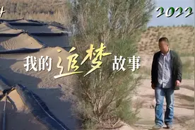 我的追梦故事丨马俊河：与黄沙掰手腕，用青春书写荒漠变绿洲的传奇图片
