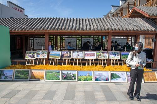 �ൺ��������������ʻ�����