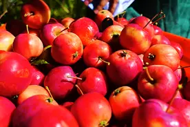 全景声丨听，丰收的交响图片