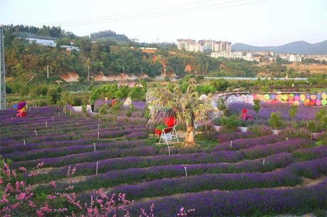 ӭ���� ����Ϫح��Ϫ�Ƴ�������û��ϲӭ��ʮһ�ƽ��ܡ�