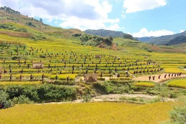 ӭ���� ����Ϫح��Ϫ�Ƴ�������û��ϲӭ��ʮһ�ƽ��ܡ�