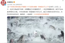 秋捕拉开帷幕！千岛湖秋捕第一网：捕鱼8万公斤图片