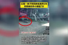 云南一男子网购鳄鱼圈养6年 咬伤邻居图片