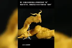 赞！云南00后折纸达人带你叹为观“纸”图片