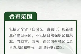 我国古树名木有500多万株，看看哪些树种最长寿图片