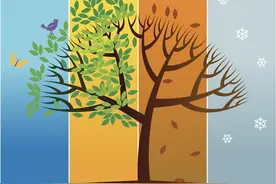 春夏秋冬 四季轮回图片