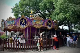 杭州市民逛临平山偶遇行走的“裘皮大衣”，系黑化的美洲赤狐，公园：收养的4只都在图片