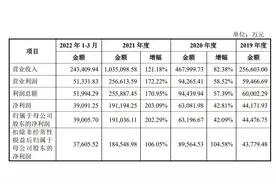 “雪王”IPO，蜜雪冰城年利润19亿，消费市场活力依旧图片