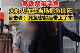 高铁禁带活鱼大妈把鱼摔死，目击者：后来用塑料袋给鱼密封带上车图片