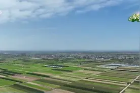 在希望的田野上｜陕西渭南调整生产结构 确保玉米丰产丰收图片