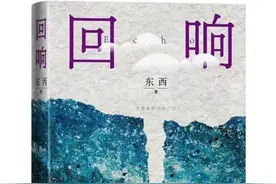 研讨｜《回响》：以“情感推理”，还原关于人的秘密图片