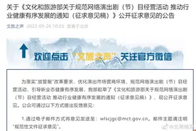 文旅部：网上演唱会应先取得经营许可 直播剧目采取延时直播方式图片