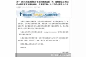 网上演唱会拟持证“开唱”文旅部公开征求意见图片