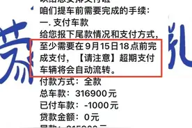 特斯拉被指催促车主提前提车隐瞒优惠！销售称活动当天才知道图片