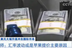 苹果宣布：涨价！涉及28个国家和地区图片