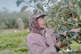 二姨的故事‖栾亦浓图片