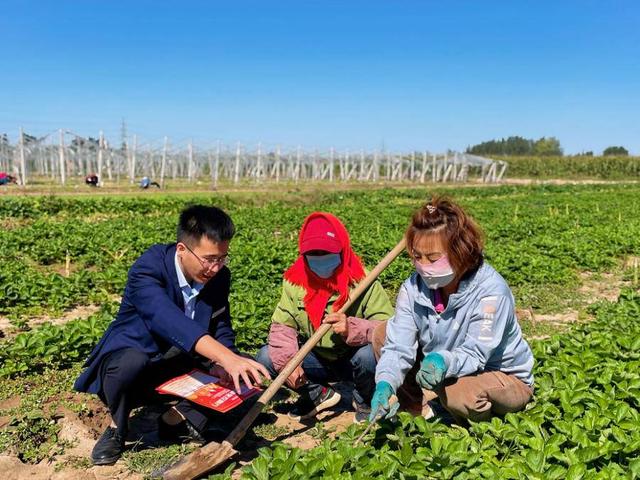 ����ũ�����У���֯��չũ����ս�Ӫ�������