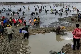 安徽一湖水位大降，引万人“守株待鱼”，市民：鱼太多，几毛钱一斤按袋卖图片
