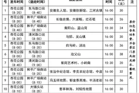 合肥10月1日起开行10条定制旅游公交专线图片