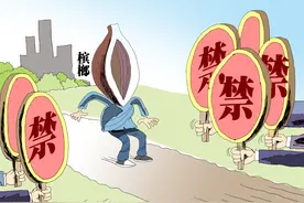 多地禁售，被逐出食品圈的槟榔还能吃吗？图片