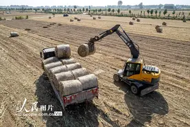 河南滑县：玉米秸秆“变废为宝”图片