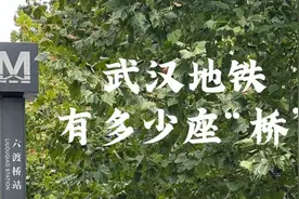 武汉地铁有多少座“桥”？图片