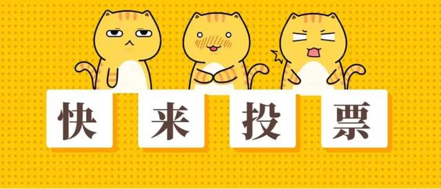 ���ֳǷ�����IP����ͶƱ���ʼ��