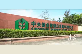 探秘肇庆“大国粮仓”：氮气储粮延长粮食储存年限图片