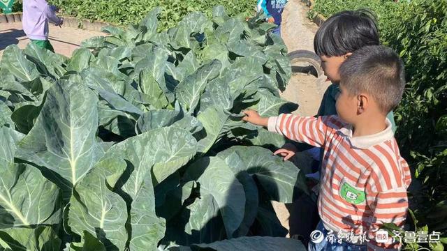 �����س�ׯ�������׶�԰��չ��ʻӭ����������