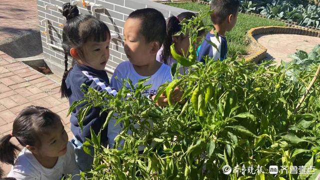 �����س�ׯ�������׶�԰��չ��ʻӭ����������